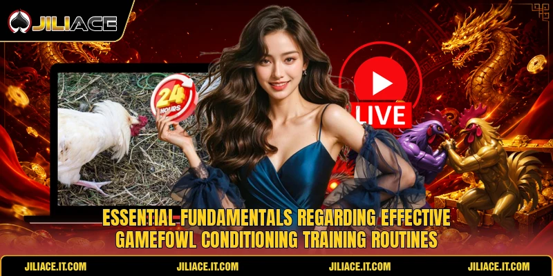 Essential fundamentals regarding effective gamefowl conditioning training routines Essential fundamentals regarding effective gamefowl conditioning training routines