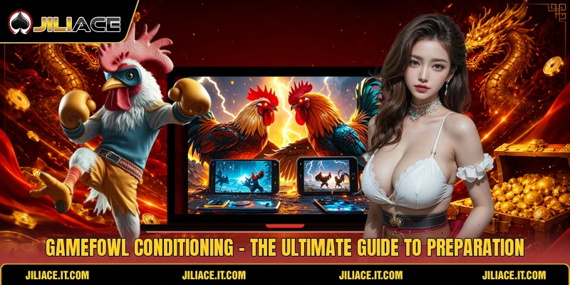 Gamefowl Conditioning - The Ultimate Guide To Preparation