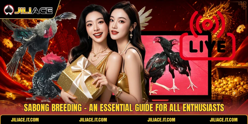 Sabong Breeding - An Essential Guide For All Enthusiasts