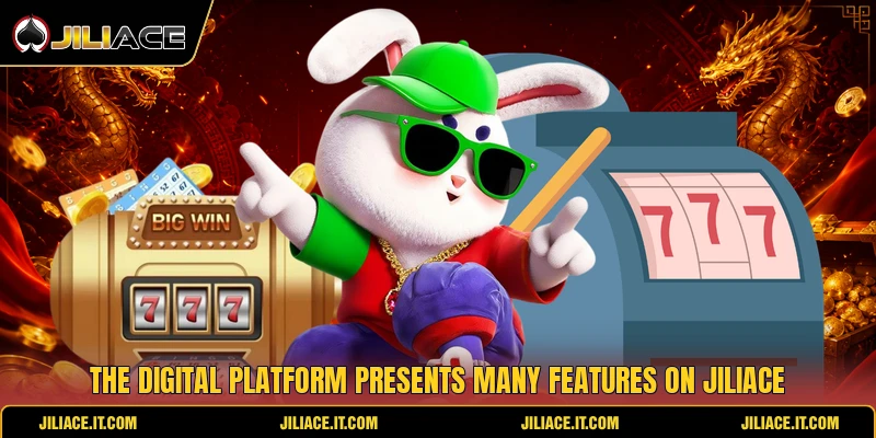 The digital platform presents many features on JiliAce